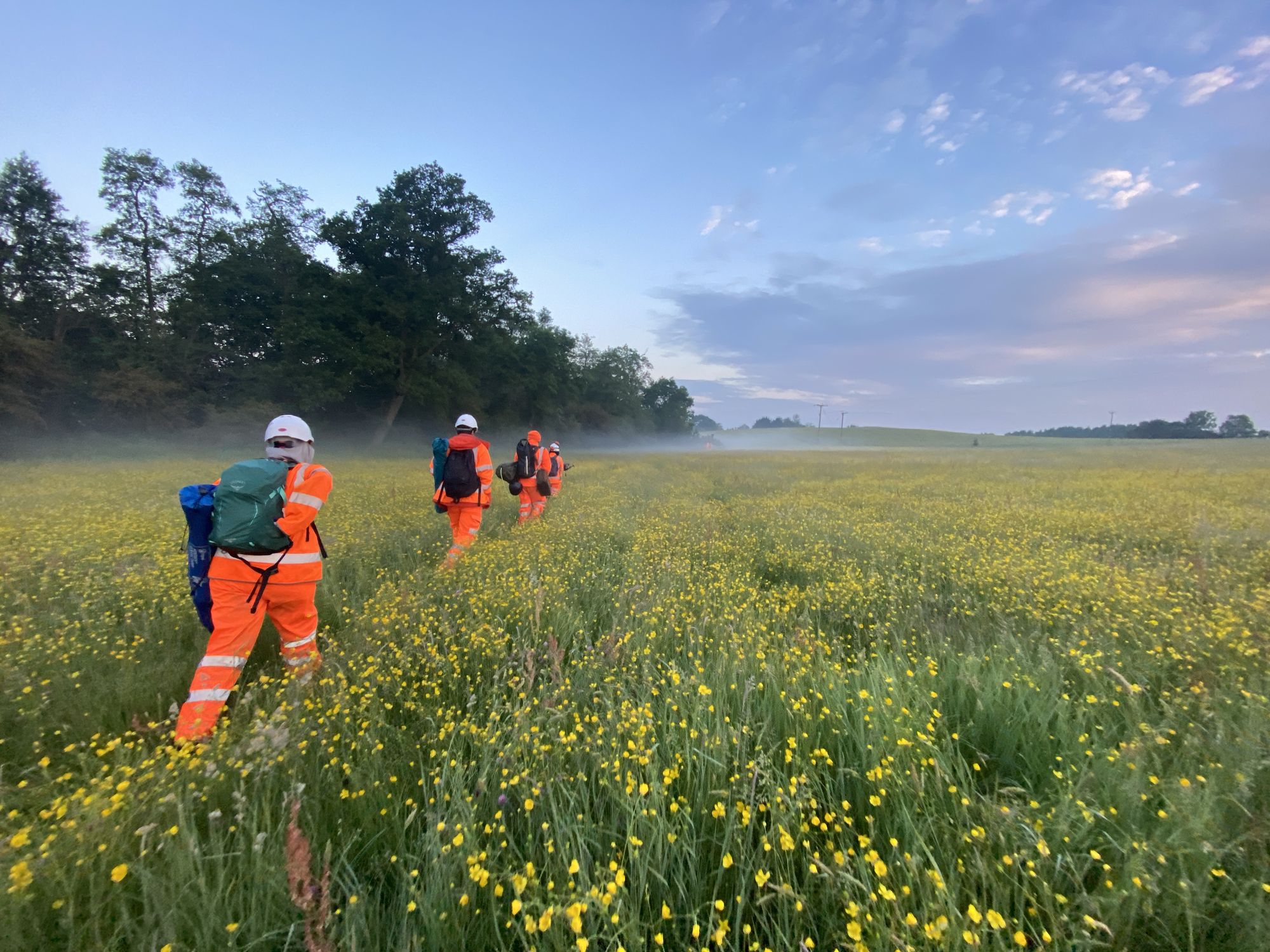 Eco Routes survey team in a wildflower meadow at dawn
